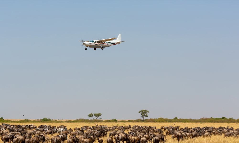 Charter Flights Masai Mara