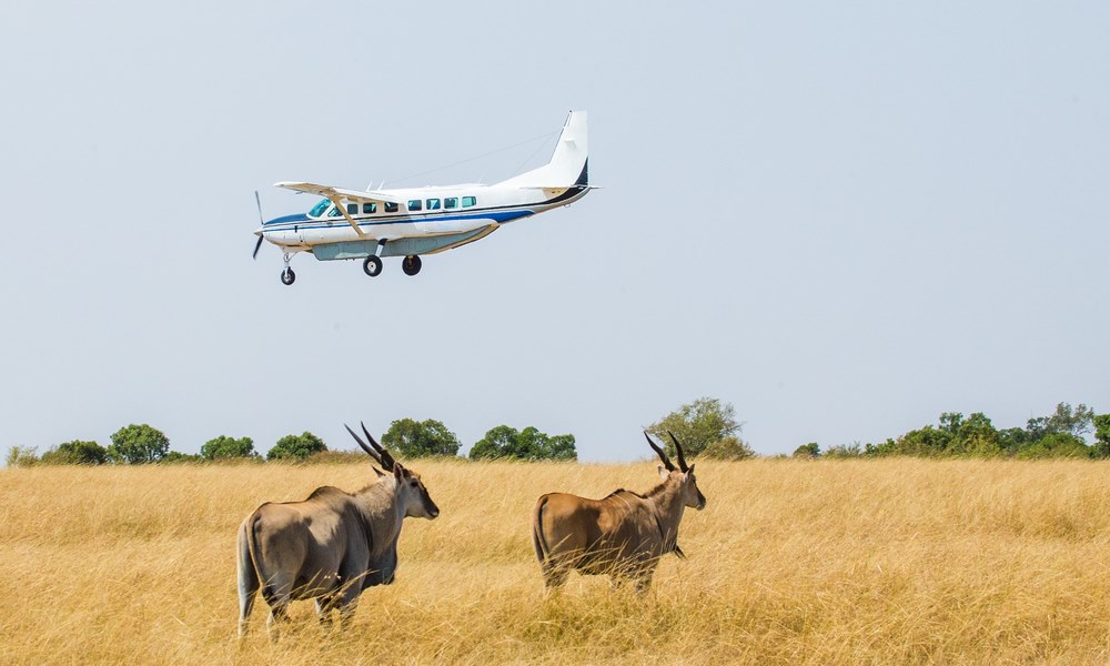 Maasai Mara Air Charter